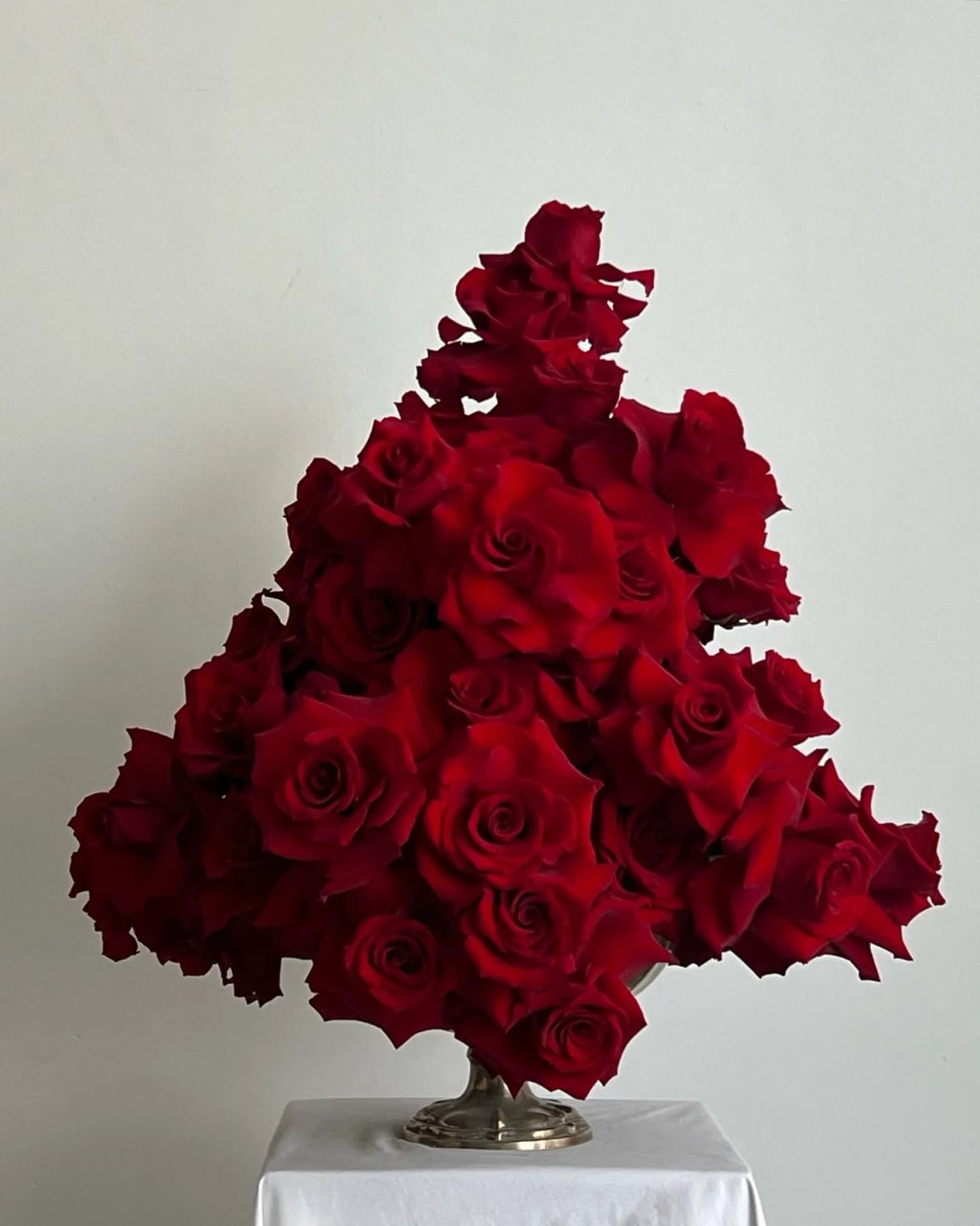 red roses