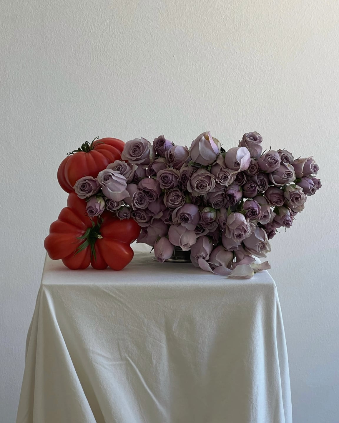 rose & tomato