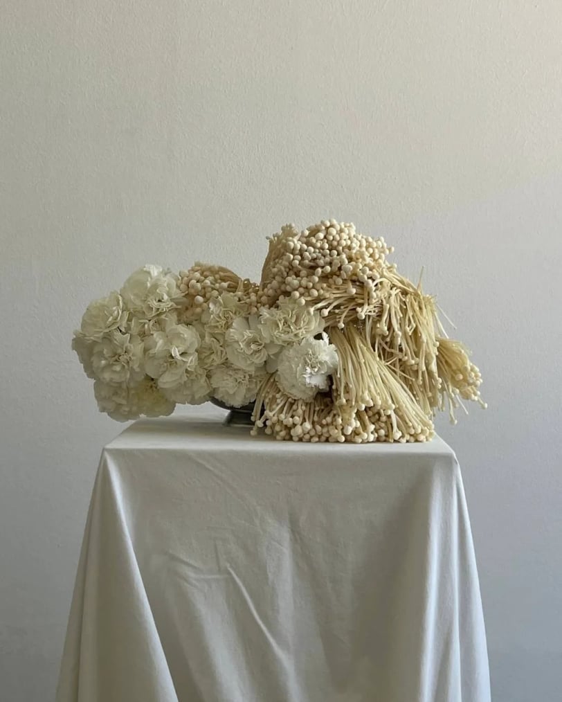 dianthus & mushrooms 