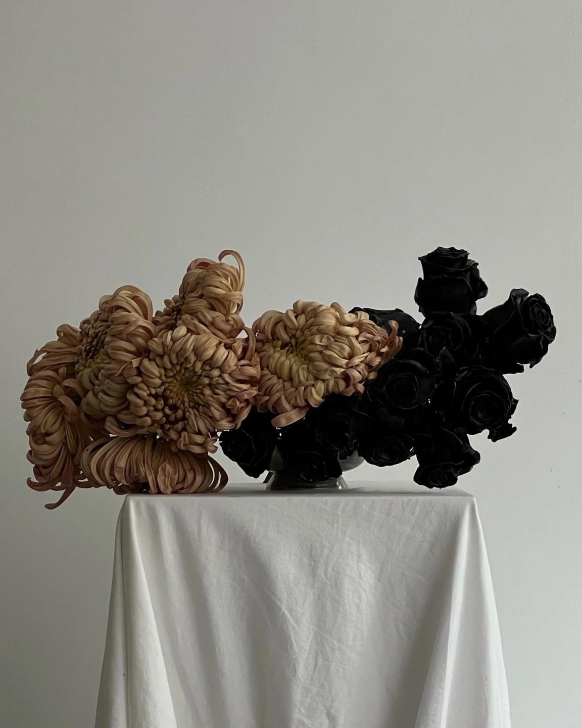 chrysanthemum & black rose