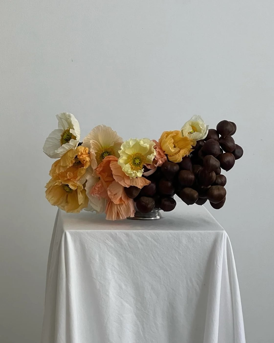 poppies & chestnuts