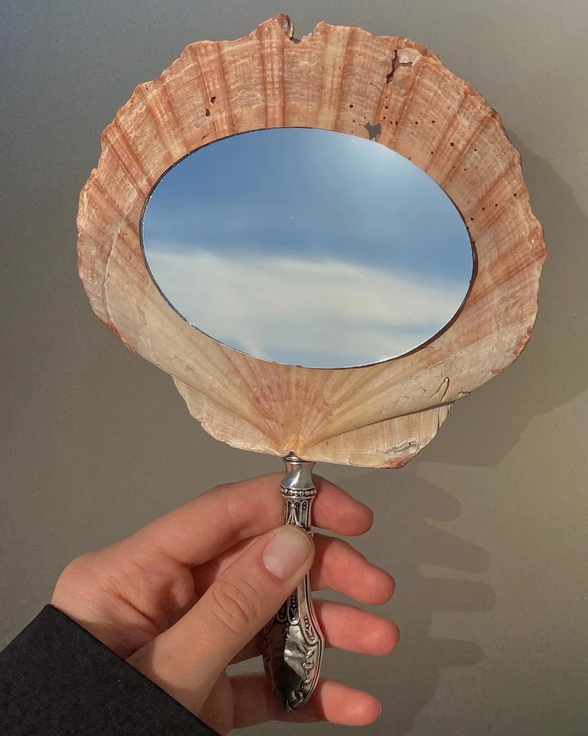 shell mirror