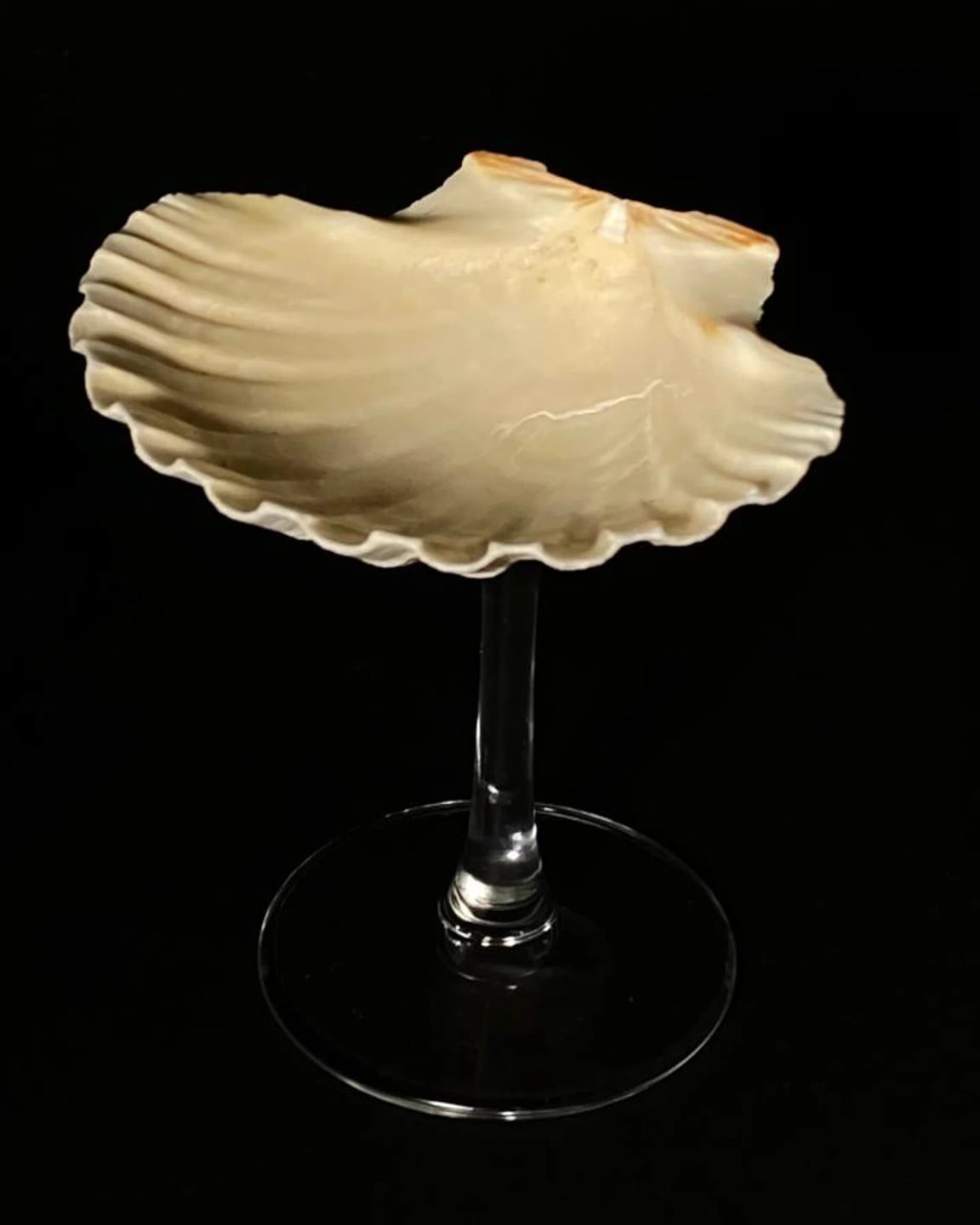 Carousel image 1